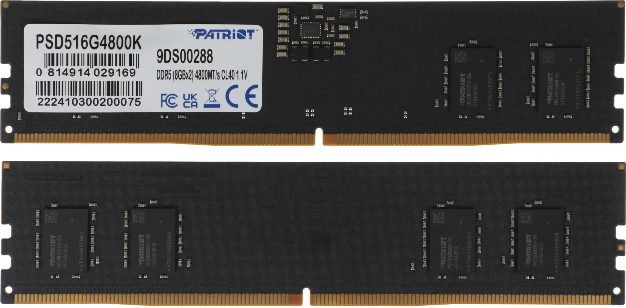 Модуль памяти Patriot PSD516G4800K, DDR5, 16ГБ (2×8ГБ), 4800МГц, ECC