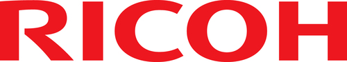Модуль ОЗУ Ricoh 963901, тип G, 256МБ