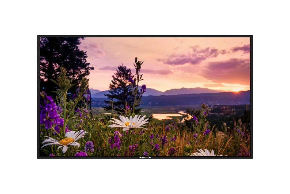 Профессиональный дисплей Lumien LB6540SD серии Basic, 65", 3840х2160, 1200:1, 400кд/м2, Android 8.0, 24/7, альбомная/пор