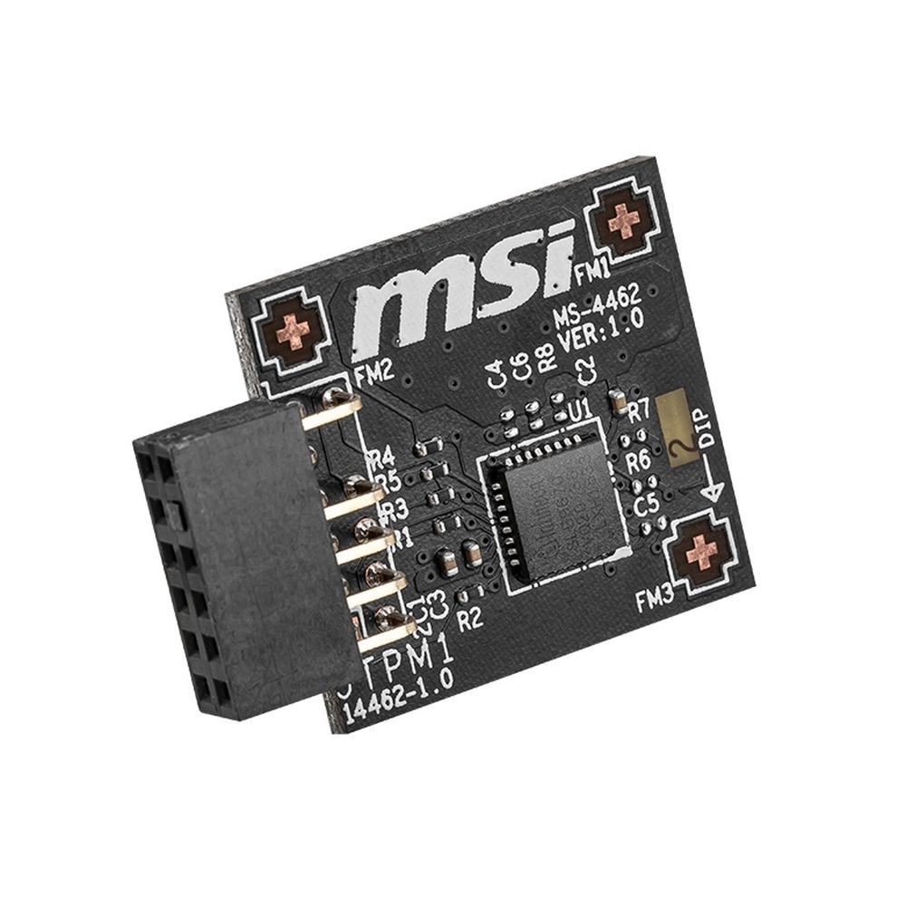 Модуль MSI MS-4462, TPM 2.0, SPI