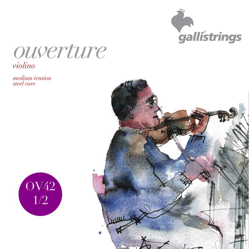 Комплект струн GALLI STRINGS OV42 для скрипки 2/4