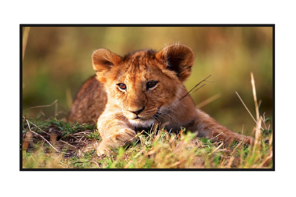 Дисплей Hisense 55DM66D, 55", 4K, ADS, 500 кд/м², Android 11