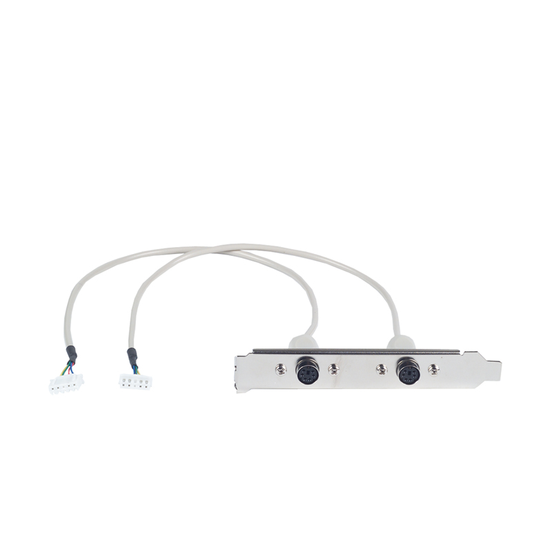 Планка Axiomtek 6080309 с двумя PS/2 разъемами, для монтажа в корпус