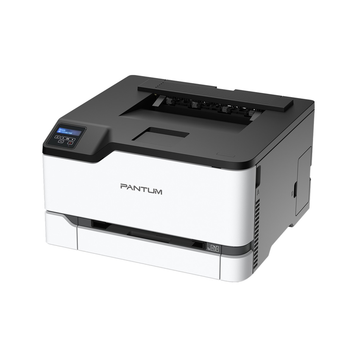 Принтер лазерный Pantum CP2200DN, цветной, A4, 24 стр/мин, USB/LAN