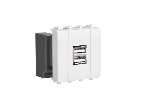 Зарядное устройство DKC 4400542, модульное, USB, Белое облако, 2 модуля, Avanti