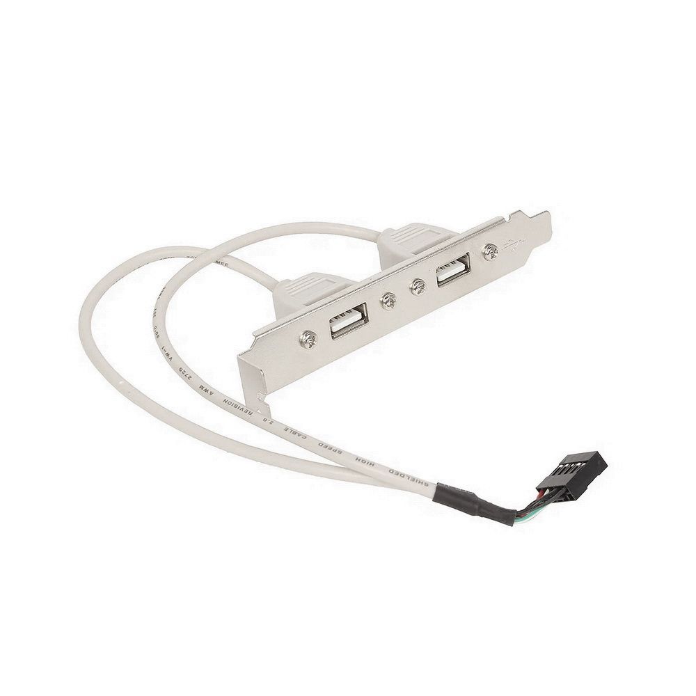 Планка USB Gembird CCUSBRECEPTACLE, 2× USB 2.0 Type-A, подключение 9 pin