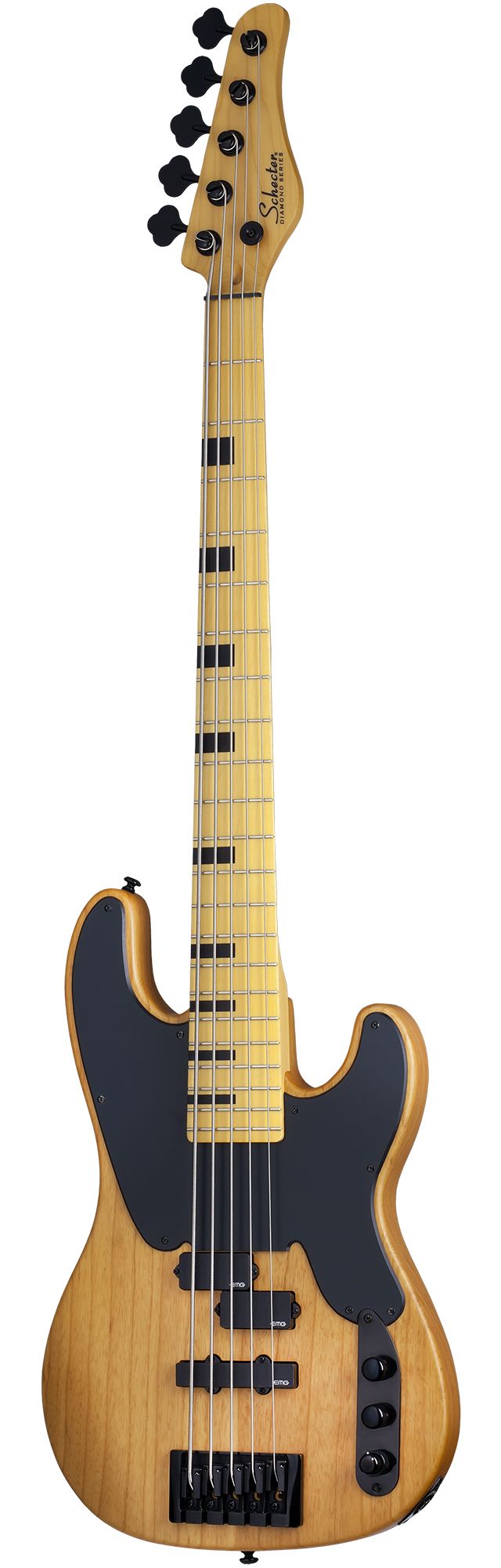 Бас-гитара Schecter MODEL-T SESSION-5 ANS, 5 струн, ясень/клён, 22 лада