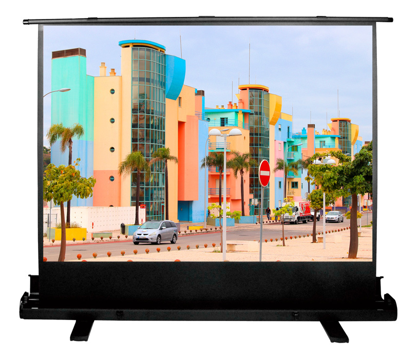 Экран проекционный CACTUS FloorExpert CS-PSFLE-160X120, 79", 4:3, напольный