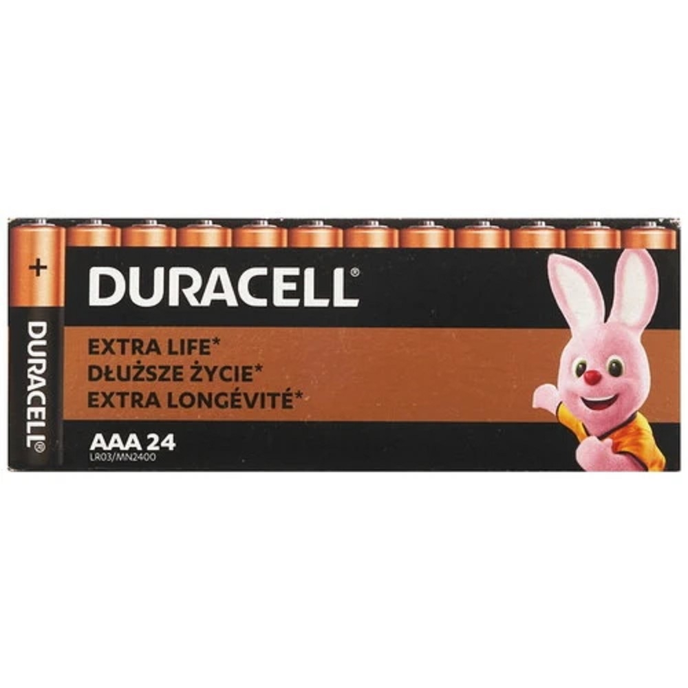 Батарейка Duracell LR03-24BL BASIC AAA (MN2400), солевая, 1.5 В, 24 шт.