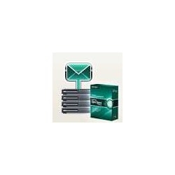 Антивирус KASPERSKY KL4313RANFS, Security для почтовых серверов, 20-24 адреса, 1 год