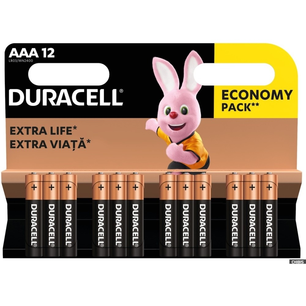 Батарейка Duracell LR03-12BL BASIC AAA, щелочная, 1.5 В, 12 шт