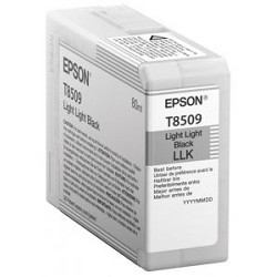 Картридж Epson C13T850900, Light Light Black, 80 мл, для SC-P800