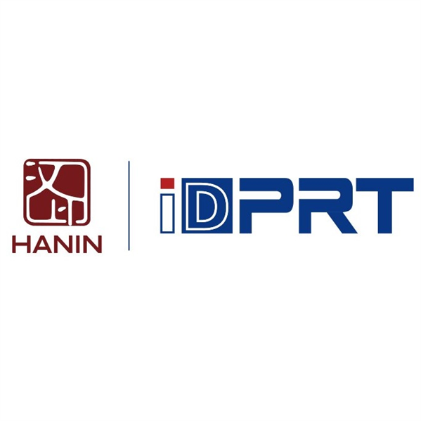 Печатающая головка iDPRT ASSY iX4L, 300 DPI, арт. 101000144