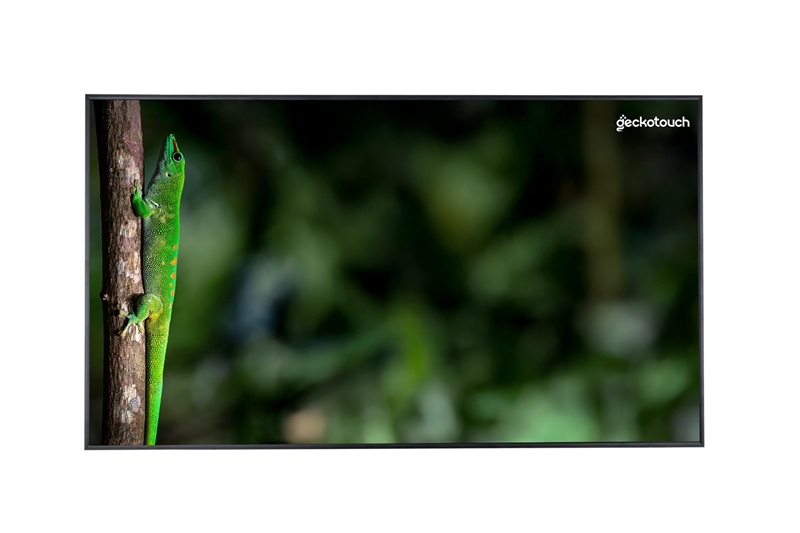 Дисплей Geckotouch 43DCR, 43", 4K, 500 кд/м2, Android